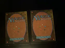 MTG - Breeding Pool x2 - Dissension - Magic the Gathering - Image 2