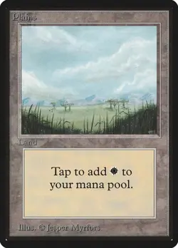 Plains (#289) Limited Edition Beta HP MTG - Image 1