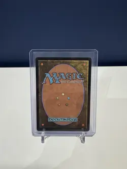 Magic: The Gathering The Walls of Ba Sing Se Borderless Mythic Legendary Avatar - Image 2