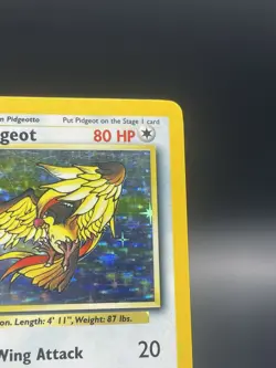 Pokemon Card - Error No Symbol Pidgeot Jungle 8/64 Holo Rare - Image 3