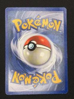 NO SYMBOL ERROR Pidgeot 8/64 Jungle 1999 Holo Rare WOTC Pokemon Card TCG - Image 2