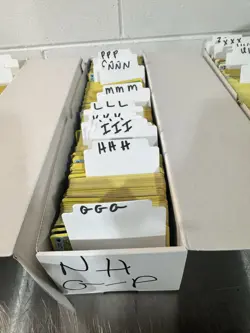 Bulk Pokemon Card Lot Non-Holo B-Z Trainers Used Condition - Image 3