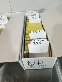 Bulk Pokemon Card Lot Non-Holo B-Z Trainers Used Condition - Image 4