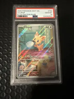 Pokemon 2025 WHT En-White Flare Illustration Rare #154 Lillipup PSA 10 - Image 1