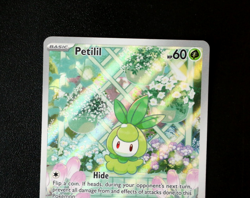 Pokemon Card TCG - Petilil 091/086 Black Bolt English - Illustration Rare - NM ⭐ - Image 2