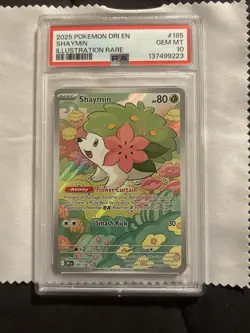 2025 POKEMON DRI EN-DESTINED RIVALS ILLUSTRATION RARE #185 SHAYMIN PSA 10 - Image 2