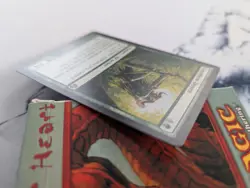 MTG - Greatbow Doyen - Morningtide - NM - Image 3