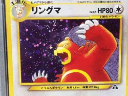 POKEMON JAPANESE NEO 2 URSARING #217 HOLO PSA 10 VERY NICE!! - Image 2