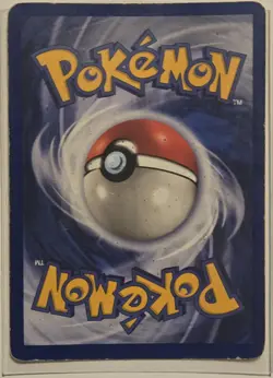 Wigglytuff 16/64☆ 1st Edition Jungle Holo MP w/ Protective Case Pokemon Wizards - Image 3