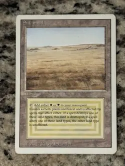 MTG Savannah Revised Dual Land, MP+ Condition - Image 1