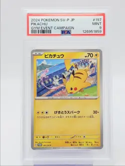 PIKACHU 2024 POKEMON JAPANESE GYM EVENT CAMPAIGN 197/SV-P PSA 9 Q0004 - Image 1