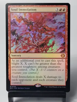 Magic The Gathering - Lorwyn Eclipsed - Soul Immolation - FOIL - Image 1