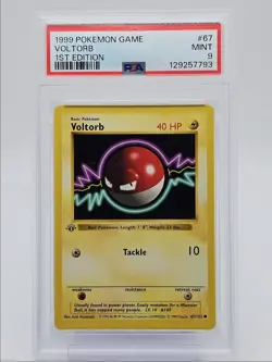 VOLTORB 1999 POKEMON BASE SET 1ST EDITION COMMON 67/102 PSA 9 Q0004 - Image 1