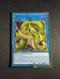 Yugioh - Predaplant Verte Anaconda MGED-EN036 1st Premium Gold Rare NM - Image 1
