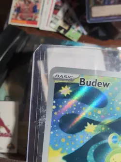 Budew 221/217 Ascended Heroes IR Illustration Rare Holo NM TCG Card Pokemon - Image 3