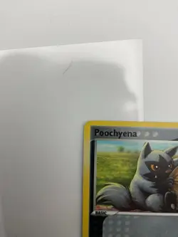 Poochyena - Reverse Holo - 58/108 Power Keepers - Pokemon TCG - 2007 - Image 5