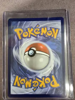 Marnie's Morpeko Pokemon SVP206 Black Star Promos NM + Gyarados - Image 2