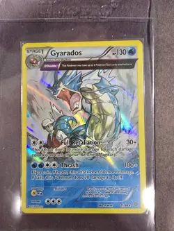 Marnie's Morpeko Pokemon SVP206 Black Star Promos NM + Gyarados - Image 3