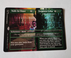 MtG Walk-In Closet Forgotten Cellar (DSK-0341) M Full Art English MINT - Image 1