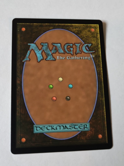 MtG Walk-In Closet Forgotten Cellar (DSK-0341) M Full Art English MINT - Image 2