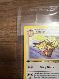 NM/M 1999 Pokemon - 1st Edition Pidgeot Non-Holo Rare - Jungle 24/64 - WOTC - Image 2