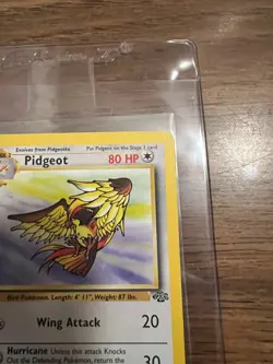 NM/M 1999 Pokemon - 1st Edition Pidgeot Non-Holo Rare - Jungle 24/64 - WOTC - Image 3