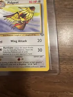 NM/M 1999 Pokemon - 1st Edition Pidgeot Non-Holo Rare - Jungle 24/64 - WOTC - Image 5