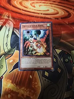 Droll & Lock Bird - SR14-EN023 Common 1st Edition NM Yugioh - Image 1