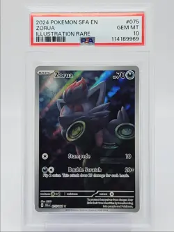 ZORUA 2024 POKEMON SHROUDED FABLE ILLUSTRATION RARE 075/064 PSA 10 Q0004 - Image 1