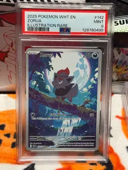 Zorua Illustration Rare Pokemon Wht En-White Flare 142/086 PSA 9 - Image 2