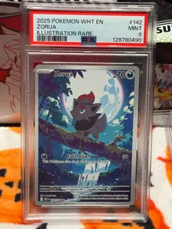 Zorua Illustration Rare Pokemon Wht En-White Flare 142/086 PSA 9 - Image 4