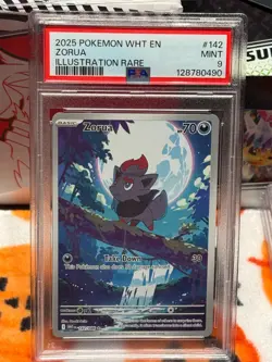 Zorua Illustration Rare Pokemon Wht En-White Flare 142/086 PSA 9 - Image 5