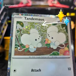 Tandemaus Swirl Promo Paldea Evolved Pokemon TCG 167/193 Scarlet & Violet Common - Image 2