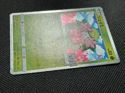Shaymin 225/SM-P Promo Pokemon Card Game Rare Japanese Nintendo Free Shipping - Image 4
