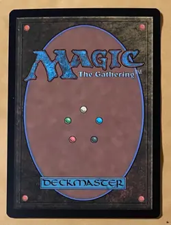 MTG - Duskmourn: House of Horror Hushwood Verge Rare Non Foil “Unplayed” 0261 - Image 3