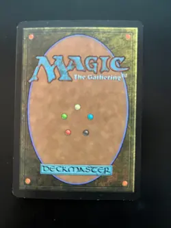 Yavimaya Hollow Mtg Urza’s Destiny - 977c - See picts for condition - Image 2