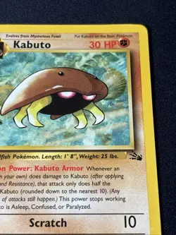 Kabuto 50/62 Fossil 1st Edition Near Mint Excellent Condition 50/62 Pokemon TCG - Image 3