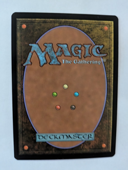 Sylvan Safekeeper Judgement MTG NM Free shipping with tracking - Image 2