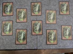 10x Forest Unglued MTG Basic Land Lightly Played (LP) / Moderately Played (MP) - Image 1