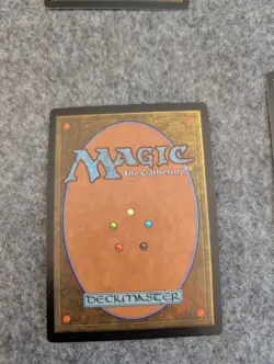 10x Forest Unglued MTG Basic Land Lightly Played (LP) / Moderately Played (MP) - Image 3