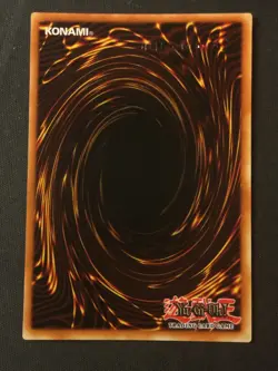 Yu-Gi-Oh TCG Yu-Gi-Oh! Promotional Cards #DDS-006 Salamandra (Dark Duel Stories) - Image 2