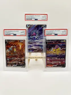 PSA 10 - Pokemon VSTAR Universe Entei Suicune Raikou Set Japanese 213 215 218 - Image 1