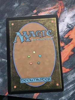 Adarkar Wastes Borderless 377 NM Dominaria United Regular - Image 2