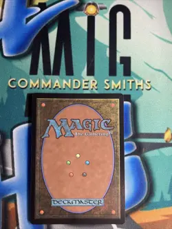 1x Sol Ring ✨Borderless FOIL✨ Secret Lair MTG NM Near Mint Black is Magic - Image 2