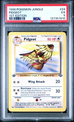 PIDGEOT 1999 Pokemon Jungle 1st Edition Non Holo #24 - PSA 5 - Image 1