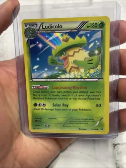 Ludicolo Holo Rare 12/160 Pokemon XY: Primal Clash Pokemon Card NM Near Mint TCG - Image 1