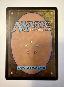 Magic The Gathering, Seedcradle Witch Shadowmoor Foil. MP-LP - Image 3