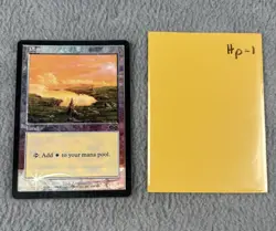 MTG Plains 1999 Arena Promo FOIL 1x HP Heavily Played Magic The Gathering - Image 1