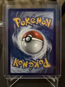 2021 Pokemon Celebrations Team Magma's Groudon | Mint - Image 2