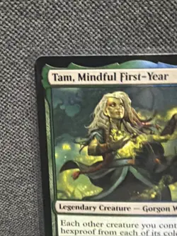 Tam, Mindful First-Year Lorwyn Eclipsed Regular - Image 2